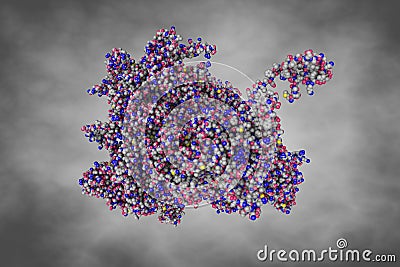 Kaposi's sarcoma-associated herpesvirus, C5 portal vertex structure. Space-filling molecular model. 3d illustration Cartoon Illustration