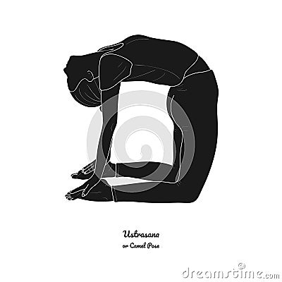 Kapotasana or Pigeon Pose. Vector Vector Illustration