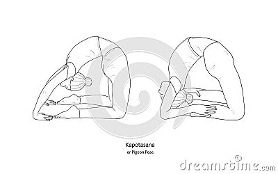 Kapotasana or Pigeon Pose. Vector Vector Illustration