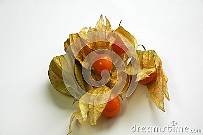 Fresh orange physalis or gooseberries Stock Photo