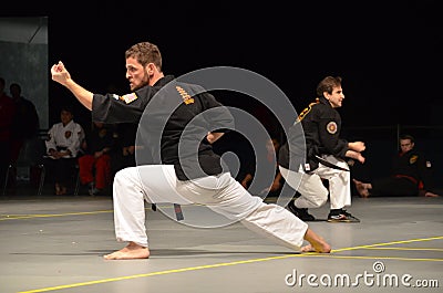Karate Instructors performing Editorial Stock Photo