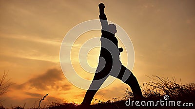 Karate kung Fu σκιαγραφιών άσκησης μοναχών πολεμικών τεχνών πολεμιστών ατόμων στο χλοώδη ορίζοντα στο ηλιοβασίλεμα Karate πόδι λα απόθεμα βίντεο Karate kung Fu σκιαγραφιών άσκησης μοναχών πολεμικών τεχνών πολεμιστών ατόμων στο χλοώδη ορίζοντα στο ηλιοβασίλεμα Karate πόδι λα απόθεμα βίντεο