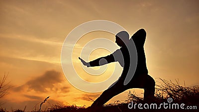 Karate kung Fu σκιαγραφιών άσκησης μοναχών πολεμικών τεχνών πολεμιστών ατόμων στο χλοώδη ορίζοντα στο ηλιοβασίλεμα Karate πόδι λα απόθεμα βίντεο Karate kung Fu σκιαγραφιών άσκησης μοναχών πολεμικών τεχνών πολεμιστών ατόμων στο χλοώδη ορίζοντα στο ηλιοβασίλεμα Karate πόδι λα απόθεμα βίντεο
