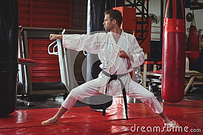 Karate player performing karate stance Stock Photo