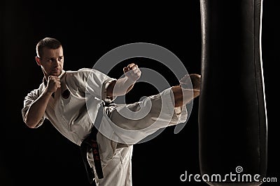 Karate round kick in a punching bag Stock Photo