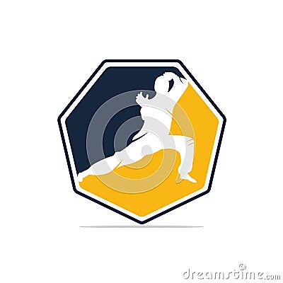 Martial art silhouette vector, fight sport logo design. Vector Illustration