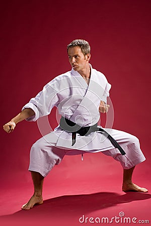 Karate stance Stock Photo