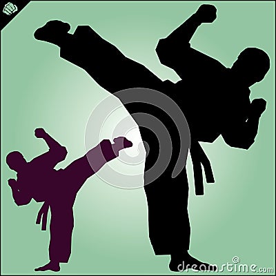 Karate. Taekwon-do. Kung-fu. High kick. Martial arts. Stock Photo