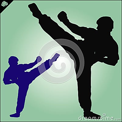 Karate. Taekwon-do. Kung-fu. High kick. Martial arts. Vector. Stock Photo