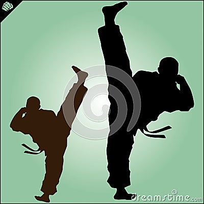 Karate. Taekwon-do. Kung-fu. High kick. Martial arts. Vector. Stock Photo