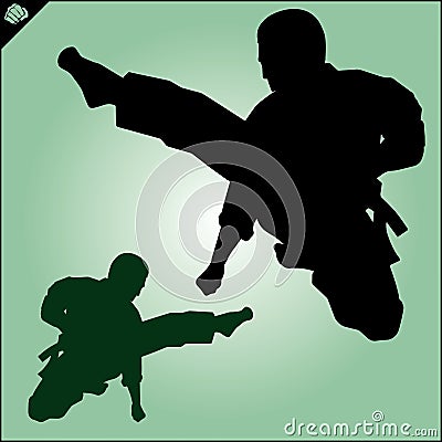 Karate. Taekwon-do. Kung-fu. High kick. Martial arts. Vector. Stock Photo