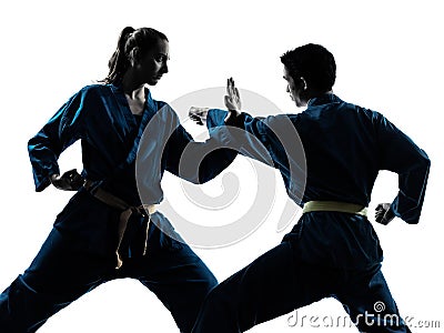 Karate vietvodao martial arts man woman couple silhouette Stock Photo