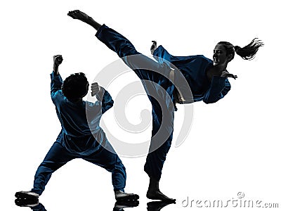 Karate vietvodao martial arts man woman couple silhouette Stock Photo