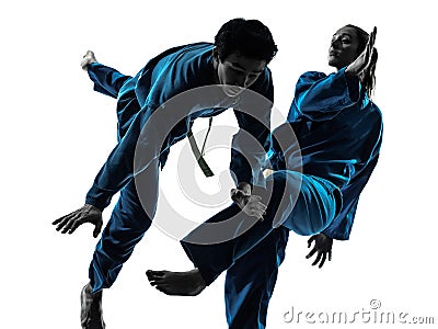 Karate vietvodao martial arts man woman silhouette Stock Photo