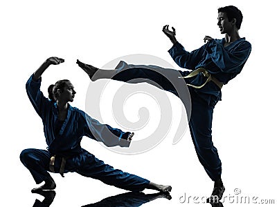 Karate vietvodao martial arts man woman silhouette Stock Photo
