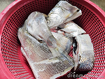 Karawang, Indonesia, 16 September 2022: Fresh milkfish has been cleaned and cut ready to be cooked Stock Photo