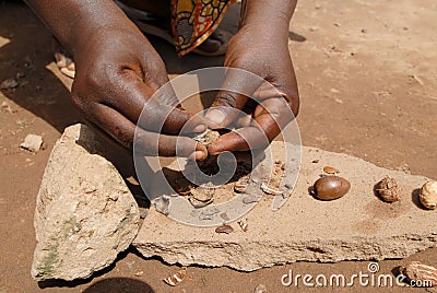 KaritÃ¨ nut Stock Photo