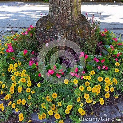 Karl Johans Gate street flowers in Oslo Norway Stock Photo