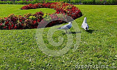 Karl Johans Gate street flowers in Oslo Norway Stock Photo