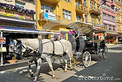 Karlovy Vary Editorial Stock Photo