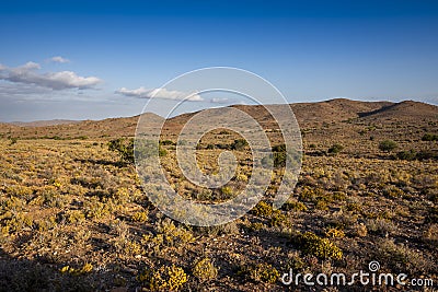 Karoo semi desert landscape South Africa Stock Photo