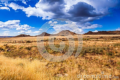 The Karoo veld Stock Photo