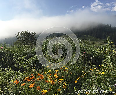 Karpaty is picturesque place mountains in Ukraine Stock Photo