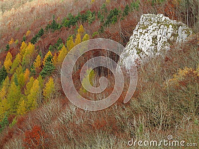 Karst forest Swabian Alps fall season nature landscape Stock Photo