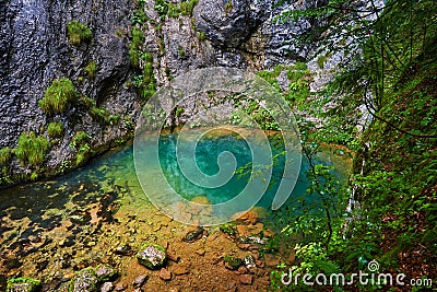 Karstic spring in Romania Stock Photo