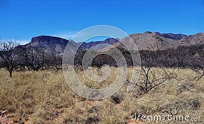 Kartchner Caverns State Park in Benson, Arizona Stock Photo