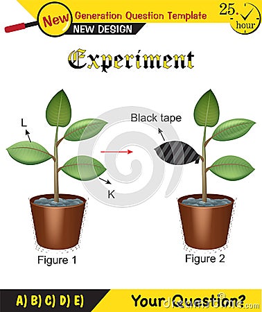 Physics - Joseph priestley`s experiment, plant experiments Stock Photo