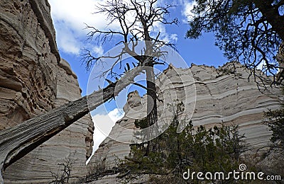 Kasha-Katuwe Tent Rocks National Monument, New Mexico, USA Stock Photo