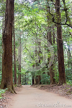 Approach to Kashima Shrine Kashima jingu Shrine in Kashima, Ibaraki Prefecture, Japan. Stock Photo