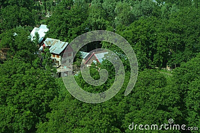 Kashmiri houses hidden in the greenery Stock Photo