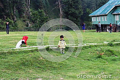 Kashmiri woman cutting grass in Aru Valley, Pahalgam, Kashmir, India Editorial Stock Photo