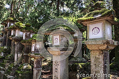 Kasuga-taisha, shrine of one thousand lanterns, Nara prefecture, Kansai, Japan Stock Photo