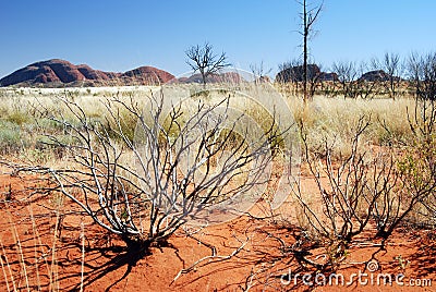 Kata Tjuta (The Olgas) Editorial Stock Photo