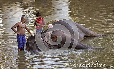 Kataragama, Sri Lanka - 29109-03-29 - Elephant gets bath in river Editorial Stock Photo