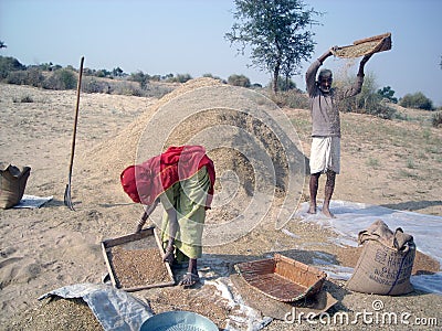 Farmer of Rajasthan doing various agricultural work in his field with his wife Editorial Stock Photo