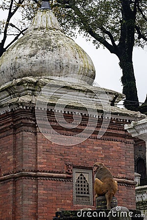 Kathmandu, Nepal, Pashupatinath Temple, Shiva, hinduism, religion, hindu temple, Bagmati river, cremation, ceremony Editorial Stock Photo