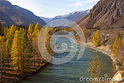 Katun River at autumn in Altai Republic Stock Photo