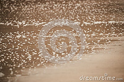 Kauai, Hawaii - Close-up of a sandy beach on Kauai where water is just retrieving leaving bubbles Stock Photo