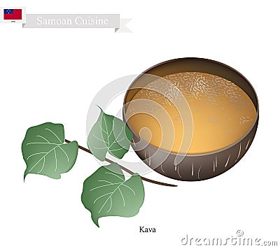 Kava Drink or Traditional Samoan Herbal Beverage Vector Illustration