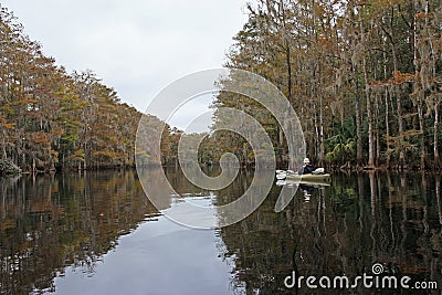 Kayaker on Fisheating Creek, Florida. Editorial Stock Photo