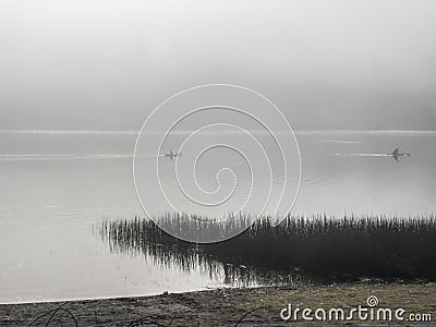 Kayakers on a foggy lake Stock Photo