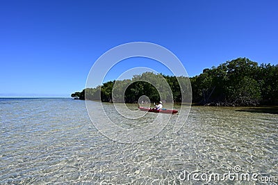 Kayaking in Bear Cut off Key Biscayne, Florida. Editorial Stock Photo