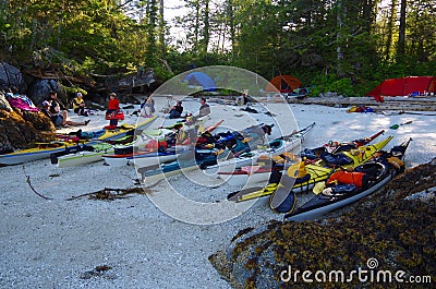 Kayaks pulled up on a shell beach after a day`s paddling Editorial Stock Photo