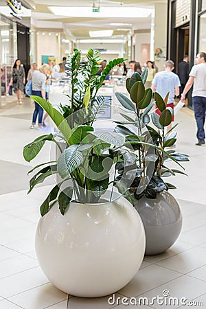 Kazan / Russia - May 10, 2019: Interesting and unusual pots for plants with rounded shapes Editorial Stock Photo