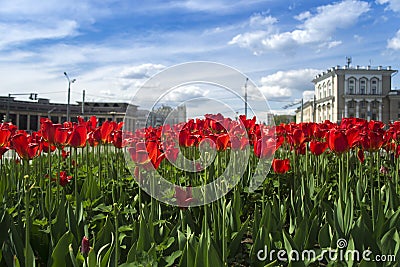 Kazan Tatarstan summer Stock Photo