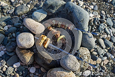 Kebab and bread are fried on the rocks on the rocky shore Stock Photo